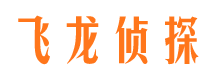 革吉市调查公司